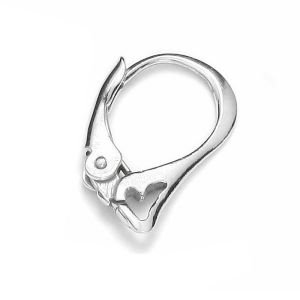 N&aacute;u&scaron;nicov&eacute; zap&iacute;n&aacute;n&iacute; - BA  2